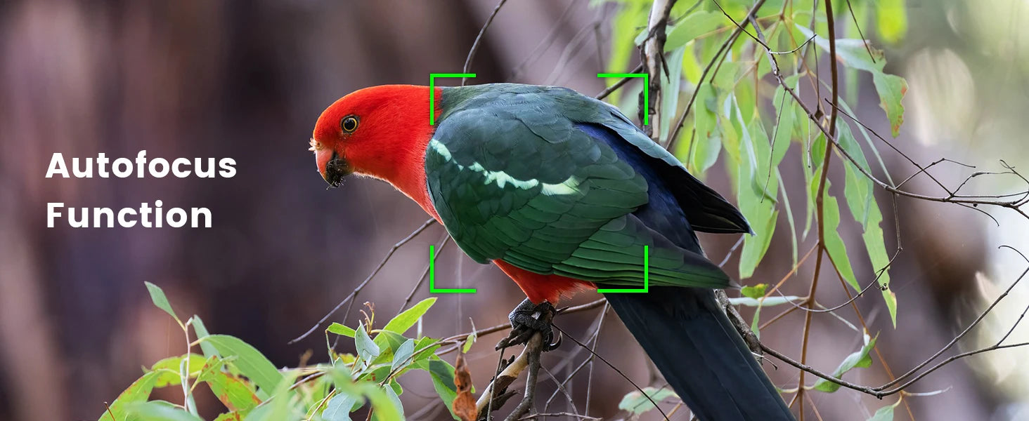 Compact Digital Photography Camera 4K WIFI Webcam