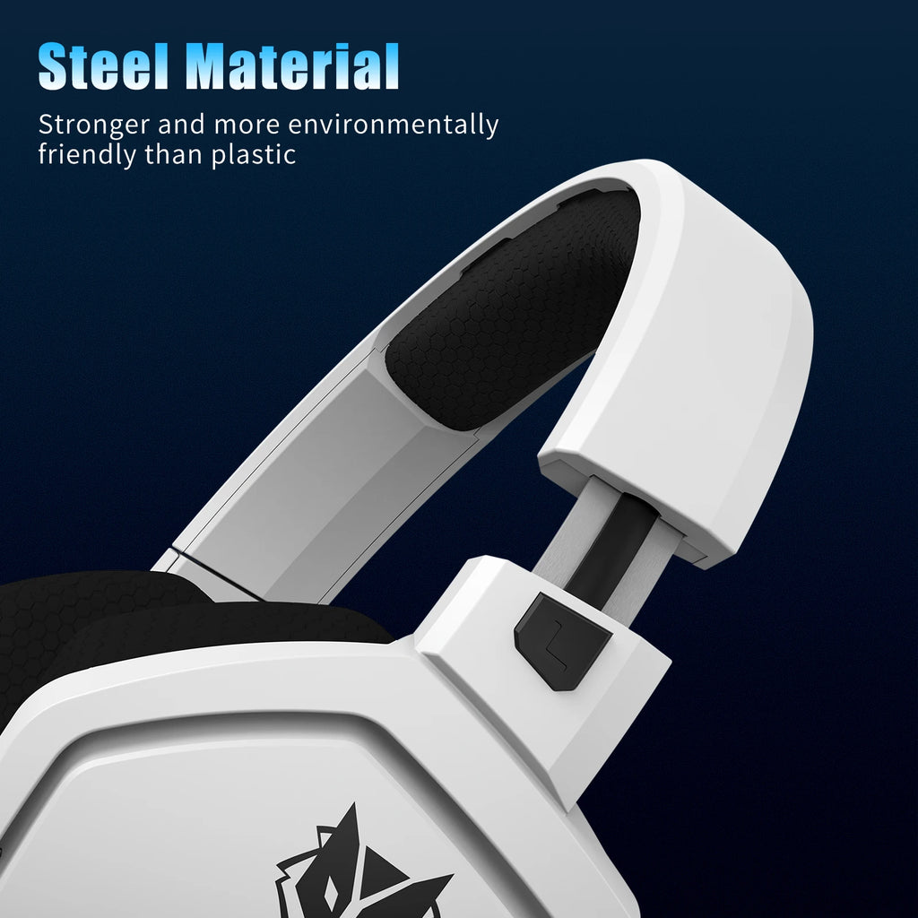 Dual Wireless Gaming Headset
